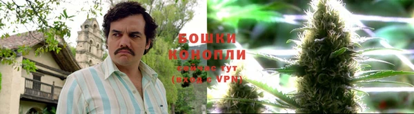 стаф Белокуриха